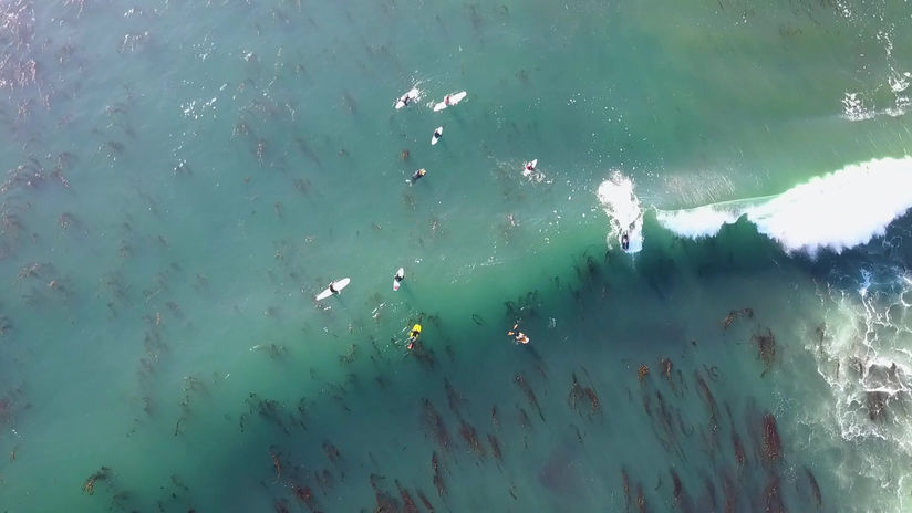 Overhead of Surfers as Wave Passes